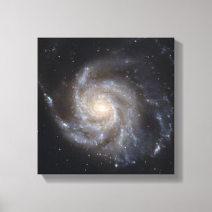 Smutsigare 101, Pinwheelgalaxen Canvastryck