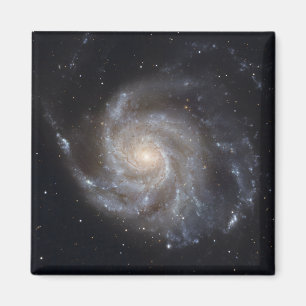 Smutsigare 101, Pinwheelgalaxen Magnet