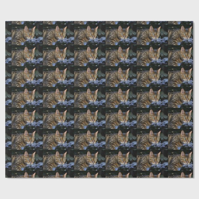 Smygande Bengalisk katt Presentpapper (Platt)