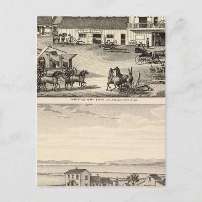 Smyth, Adams egendom Vykort (Framsida)