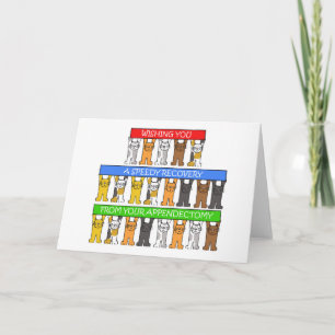 Snabb återhämtning från Appendectomy, Cute Cats. Kort