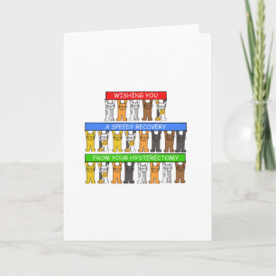 Snabb återhämtning från hysterektomisk katt kort