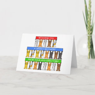 Snabb återhämtning från hysterektomisk katt kort