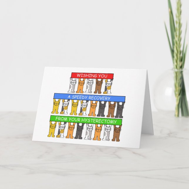 Snabb återhämtning från hysterektomisk katt kort (Framsida)