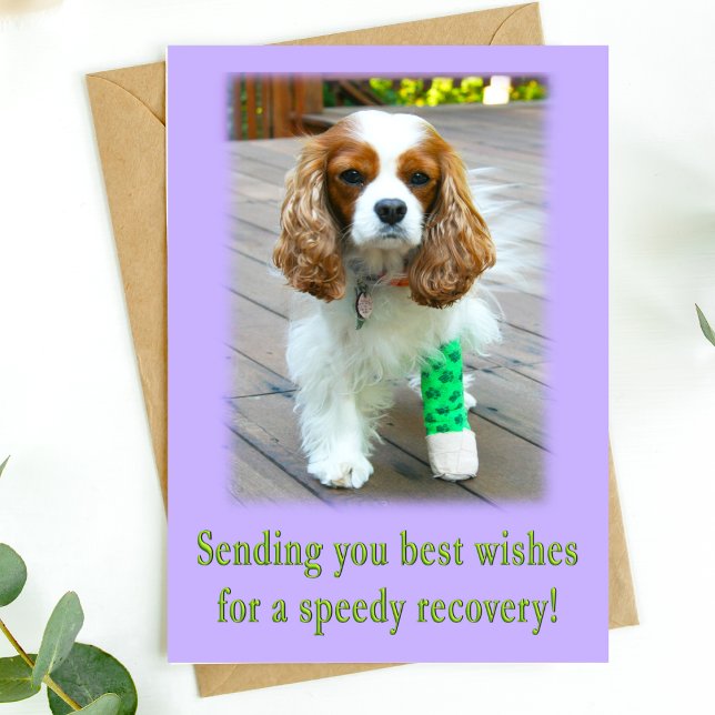 Snabb återställning Skaffa ett spanskt kort (Send speedy recovery healing vibes with this adorable dog card. )