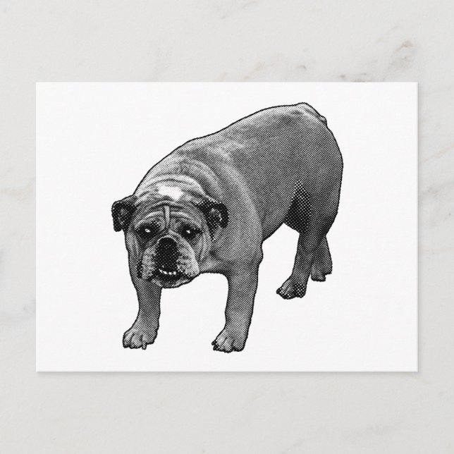 Snabb Cheer Bulldog Vykort (Framsida)