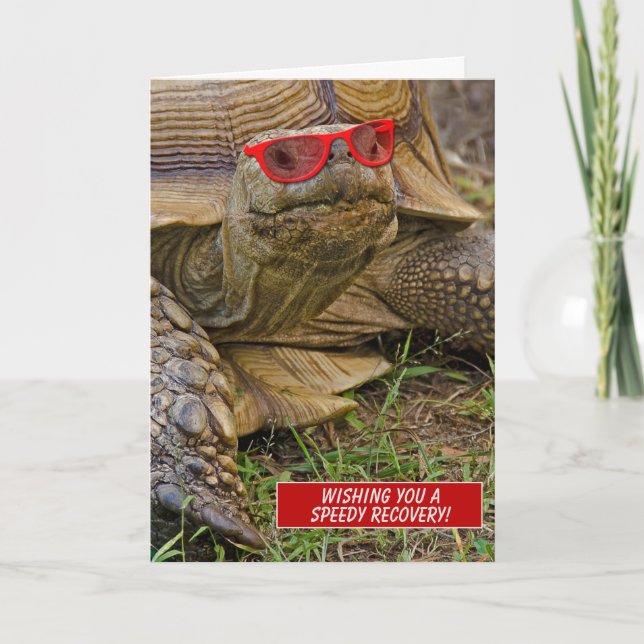 Snabb, gammal tortoise i rödsolglasögon kort (Framsida)