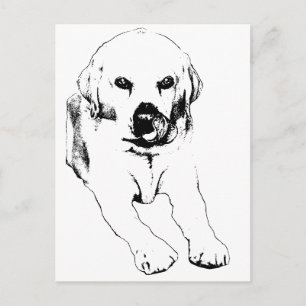 Snabb hälsning från en Labrador Vykort