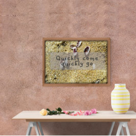 Snabb kom snabbt och inspirera till visdom poster