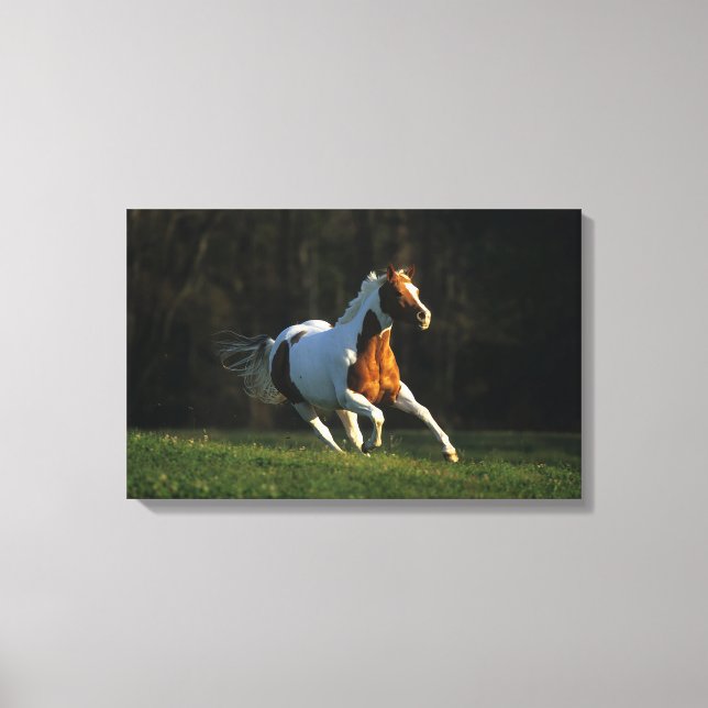 Snabb körning av målarfärg canvastryck (Framsida)