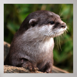 Snabb stängning poster