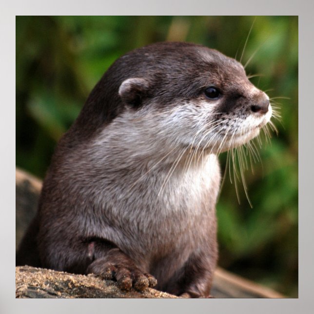 Snabb stängning poster (Framsidan)