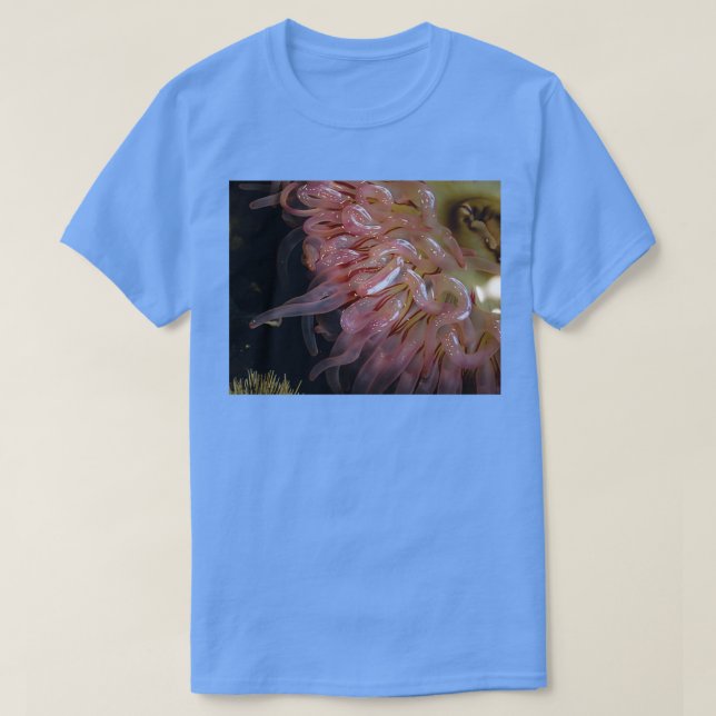 snabb t shirt (Design framsida)