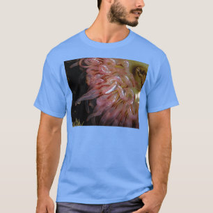 snabb t shirt