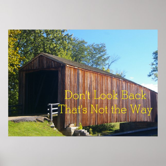 Snabbåterställning Poster (Framsidan)