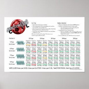 Snabbbränning Poster