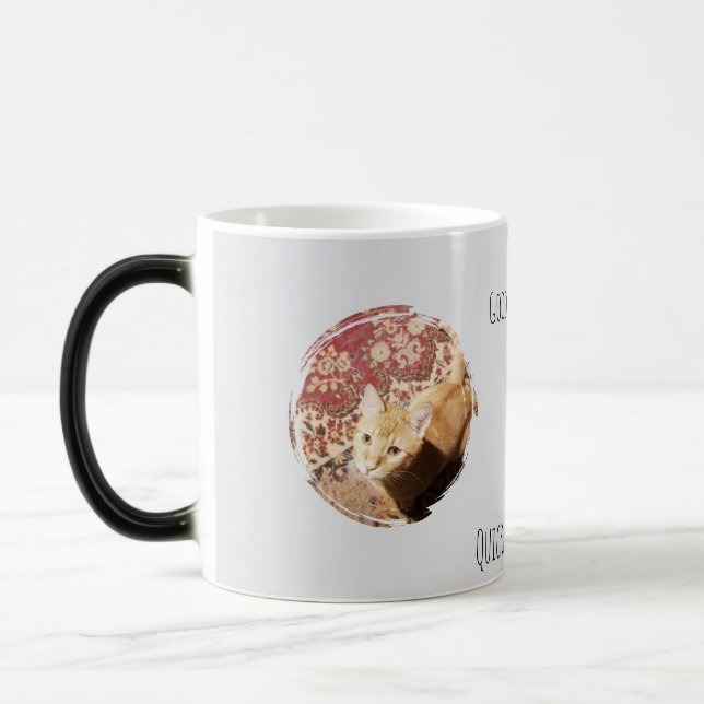 Snabbt Dömande Dig, Kattfoto, Humor Magisk Mugg (Vänster)