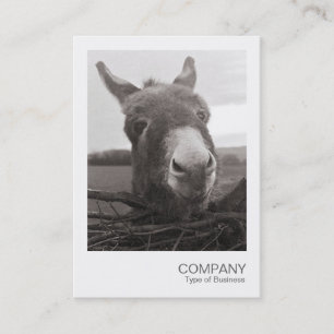 Snabbt foto - vänligt donkey visitkort