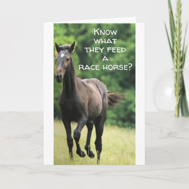 ***SNABBT LIVSMEDEL FÖR HORSE** FÅ DET SOM DU OCKS KORT (Framsida)