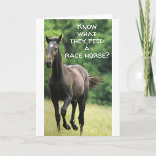 ***SNABBT LIVSMEDEL FÖR HORSE** FÅ DET SOM DU OCKS KORT