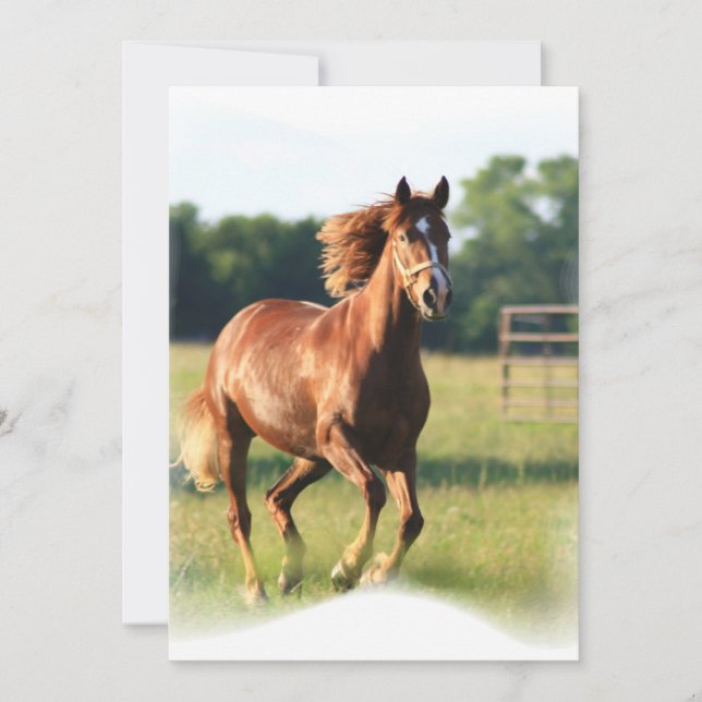 Snabbt växande kastanjebrun inbjudan (Framsida)