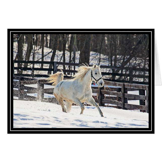 Snabbt växande vithäst hälsningskort (Framsidan Horizontal)