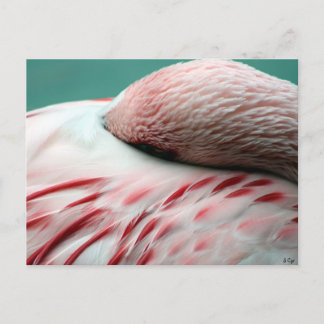 Snabbt viloläge vykort