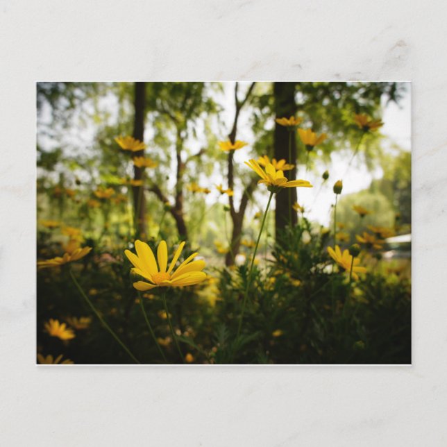 Snabbvykort_01 Vykort (Framsida)