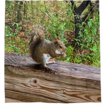Snack Attack, A Squirrel Living His Best Life