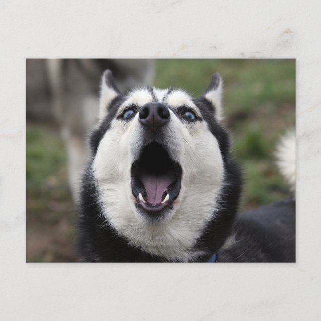 snack vykort (Framsida)