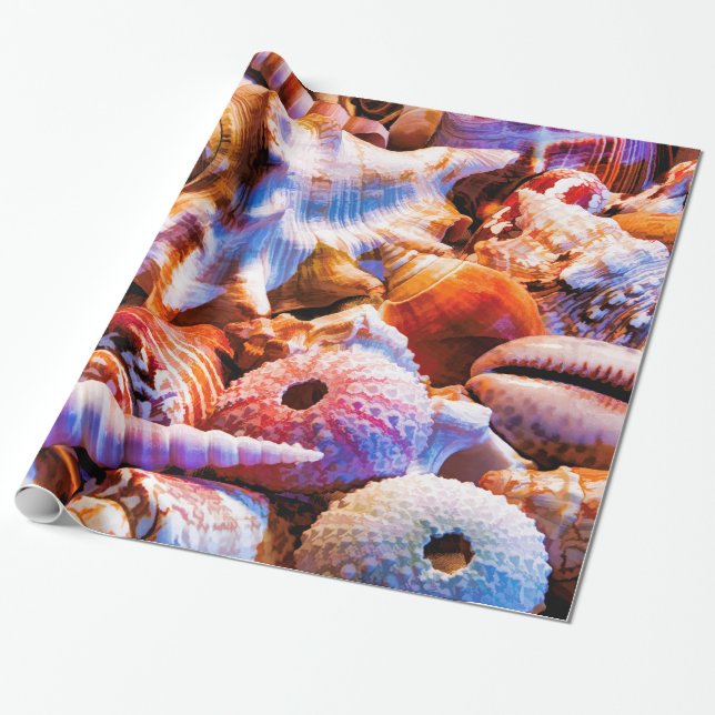 Snäcka 1 Alt Presentpapper (Utrullad)