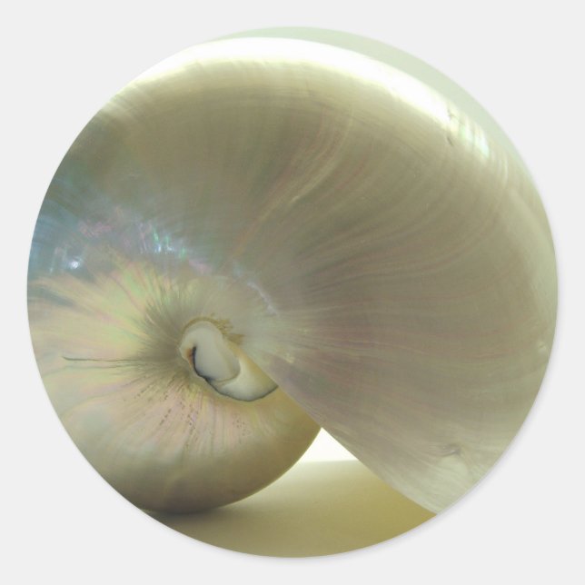 SNÄCKA 1 RUNT KLISTERMÄRKE (Framsida)