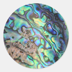 Snäcka av blått grönt, paua abalone runt klistermärke