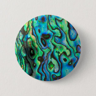 snäcka av grönt blå paua abalone knapp