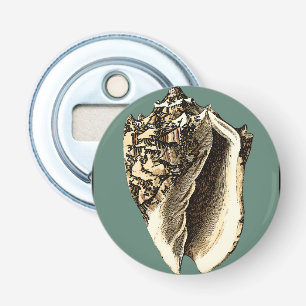 Snäcka av kalkkoner flasköppnare