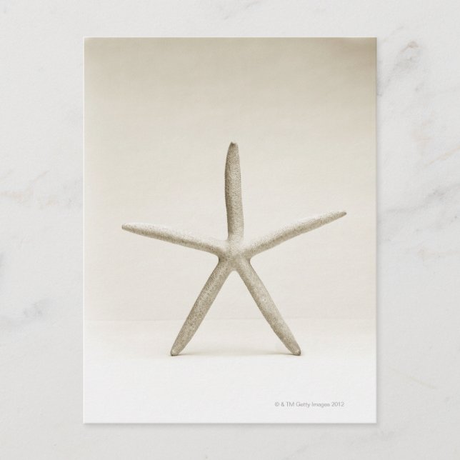 Snäcka av stjärnorna vykort (Framsida)
