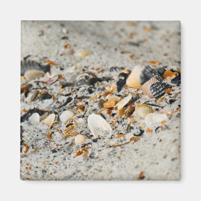 Snäcka-cache Magnet (Framsidan)