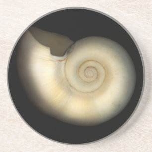 Snäcka - Conchology - Nautilus Underlägg