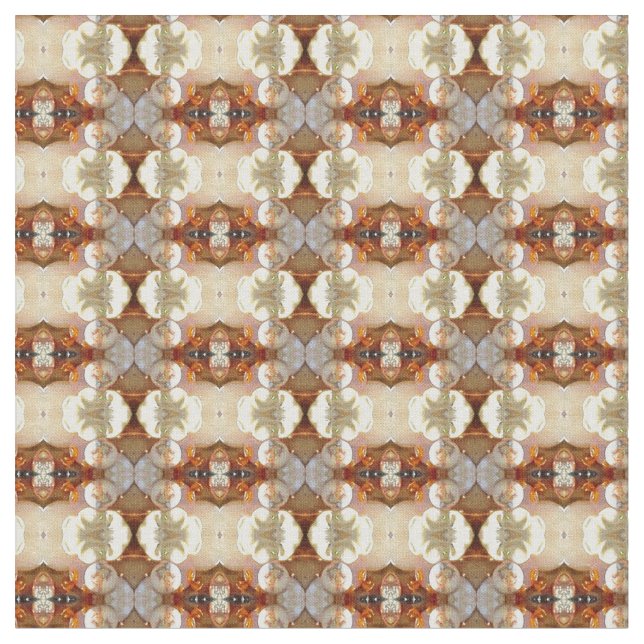 Snäcka för judel tyg (Närbild)