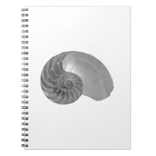 Snäcka för komplexitetsenkelhetsNautilus Anteckningsbok Med Spiral