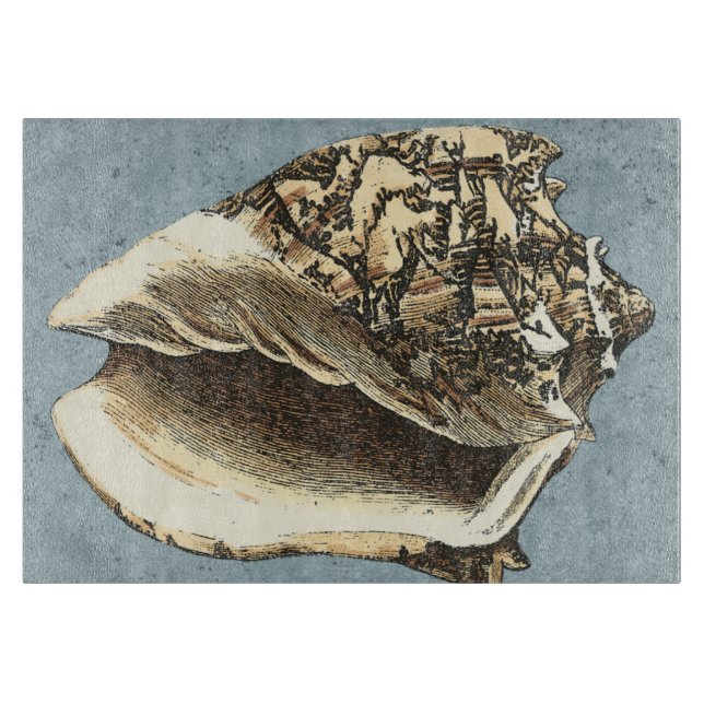 Snäcka för kontur med stenstreck (Framsidan)