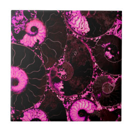 Snäcka för Nautilus rosa Kakelplatta