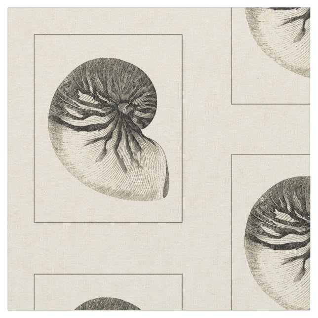 Snäcka för svart och vit Vintage Tyg (Närbild)