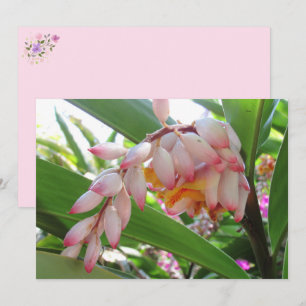 Snäcka Ginger Flowers Blommigt vykort