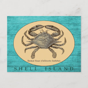 Snäcka Island Crab-vykort Vykort