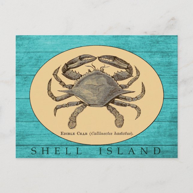 Snäcka Island Crab-vykort Vykort (Framsida)