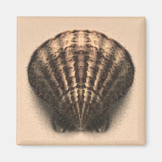 Snäcka Magnet (Framsidan)