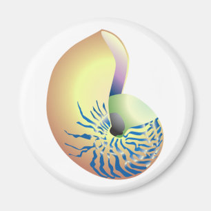 SNÄCKA MAGNET