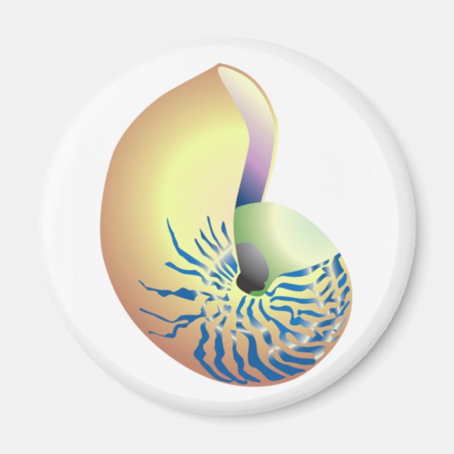 SNÄCKA MAGNET (Framsidan)