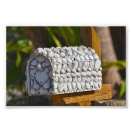 Snäcka Mailbox, Fort Myers Beach, Florida Fototryck